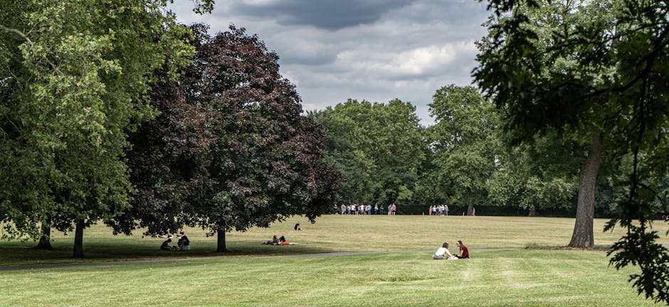 A wide view of a park with a large grassy area, where several people are sitting and relaxing on blankets and benches under the shade of tall trees with lush green foliage. In the background, a group of individuals can be seen walking along a pathway, while two people are seated on the grass near the foreground, engaged in conversation. The scene is under natural daylight with a partly cloudy sky. This tranquil outdoor setting is typical for residential areas near Alexandra Park in Crouch End, Haringey, often featured in house removals and packing and moving services by Haringey Man and Van, as seen on their website.
