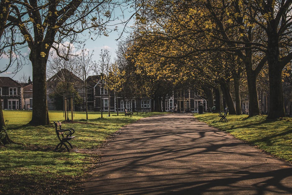 A tree-lined pathway in a residential park near Alexandra Park in Crouch End, Haringey, during daytime. The path is flanked by large mature trees with branches extending overhead, casting shadows on the ground. Several wooden benches are positioned along the grassy edges of the walkway, some facing the path and others facing the surrounding greenery. In the background, partially obscured by trees, are multi-storey Victorian-style houses with brick facades and large windows, typical of the local architecture. The scene is illuminated by natural daylight, with a mix of shaded and sunlit areas, creating a peaceful setting suitable for outdoor activities or leisurely walks. This environment is often associated with residential neighbourhoods where house removals and home relocation services, such as those provided by Haringey Man and Van, are frequently required for residents moving in or out of nearby flats or houses.